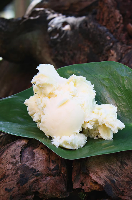 Manteiga de Cupuaçu